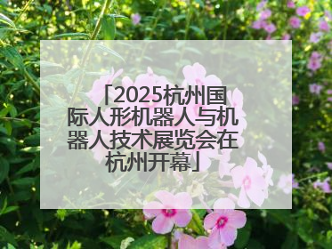 2025杭州国际人形机器人与机器人技术展览会在杭州开幕