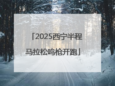 2025西宁半程马拉松鸣枪开跑