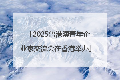 2025鲁港澳青年企业家交流会在香港举办