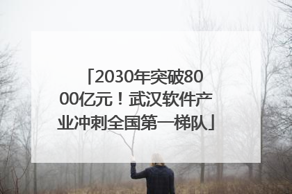 2030年突破8000亿元！武汉软件产业冲刺全国第一梯队