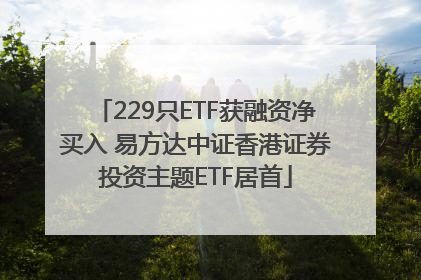 229只ETF获融资净买入 易方达中证香港证券投资主题ETF居首