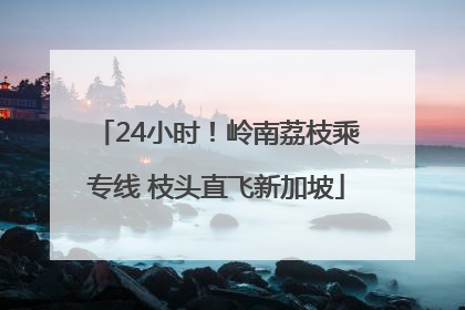24小时！岭南荔枝乘专线 枝头直飞新加坡