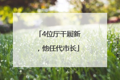 4位厅干履新，他任代市长