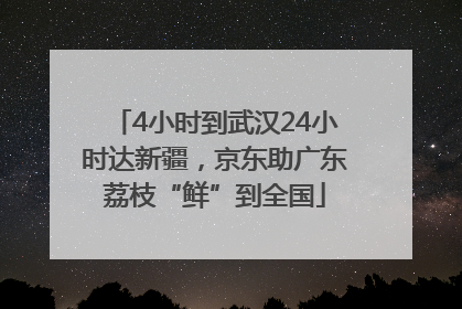 4小时到武汉24小时达新疆，京东助广东荔枝“鲜”到全国