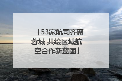 53家航司齐聚蓉城 共绘区域航空合作新蓝图