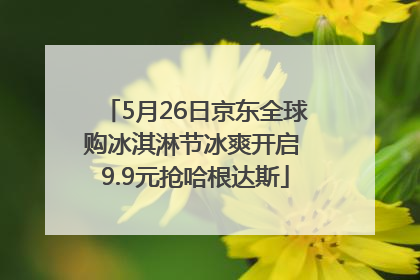 5月26日京东全球购冰淇淋节冰爽开启 9.9元抢哈根达斯