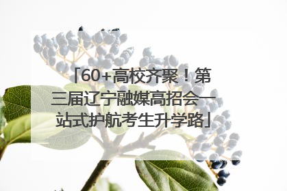 60+高校齐聚！第三届辽宁融媒高招会一站式护航考生升学路