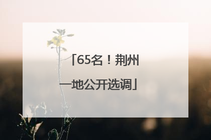 65名！荆州一地公开选调