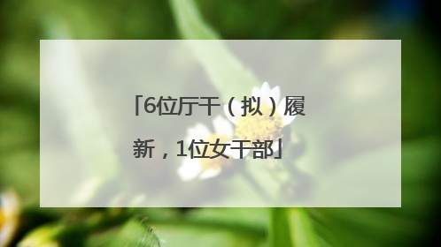 6位厅干（拟）履新，1位女干部