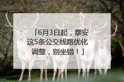 6月3日起，泰安这5条公交线路优化调整，别坐错！