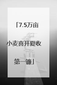 7.5万亩小麦喜开夏收第一镰