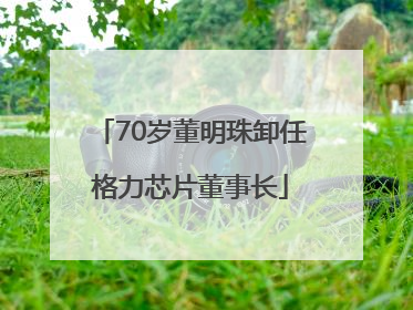 70岁董明珠卸任格力芯片董事长
