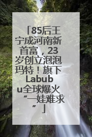 85后王宁成河南新首富，23岁创立泡泡玛特！旗下Labubu全球爆火“一娃难求”