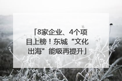 8家企业、4个项目上榜！东城“文化出海”能级再提升