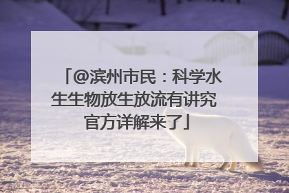 @滨州市民：科学水生生物放生放流有讲究 官方详解来了
