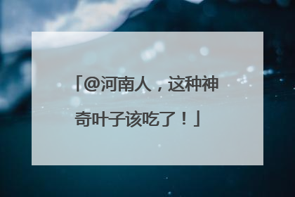 @河南人，这种神奇叶子该吃了！