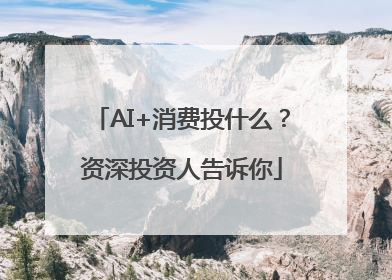 AI+消费投什么？资深投资人告诉你