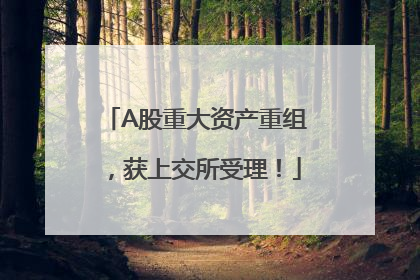 A股重大资产重组，获上交所受理！