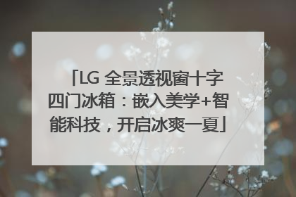 LG 全景透视窗十字四门冰箱：嵌入美学+智能科技，开启冰爽一夏