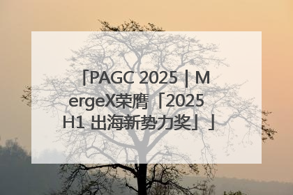 PAGC 2025｜MergeX荣膺「2025 H1 出海新势力奖」