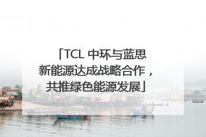 TCL 中环与蓝思新能源达成战略合作，共推绿色能源发展
