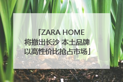 ZARA HOME将撤出长沙 本土品牌以高性价比抢占市场